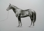 Yeats - An Immortal, pencil on paper, 40x50cm